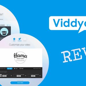 viddyoze review bonus